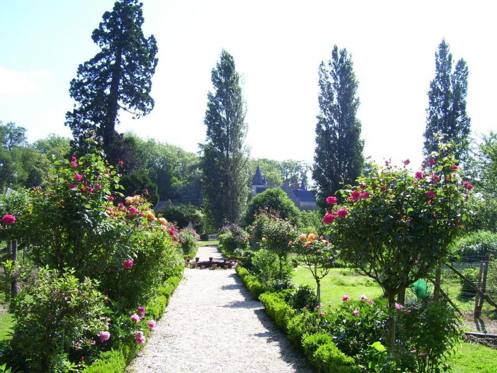 Chateau De Montriou Feneu Екстериор снимка